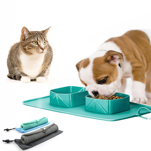 Pet Silicone Folding Pet Bowl