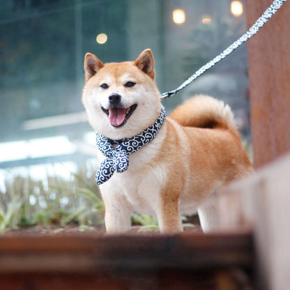 Japanese pet pet universal dog collar dog accessories